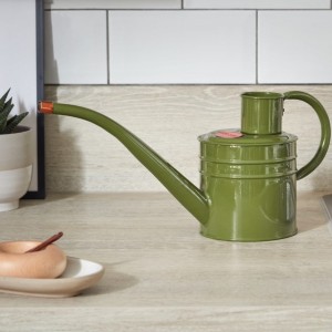 Home & Balcony Watering Can 1ltr Sage